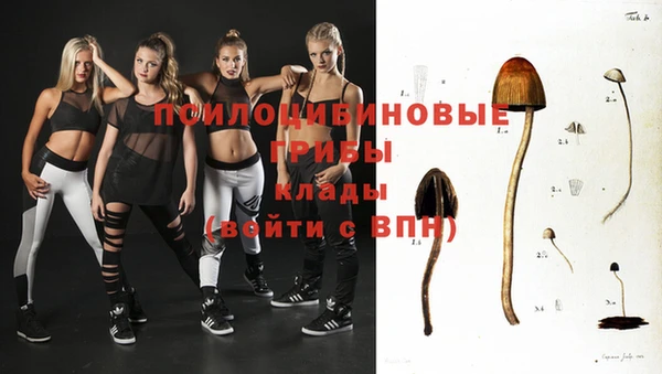 spice Баксан