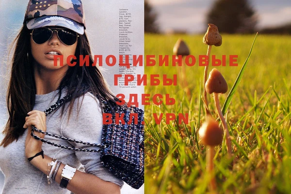 скорость Балабаново
