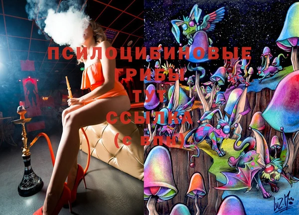 соль ск Балахна