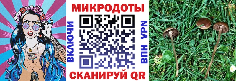 Галлюциногенные грибы ЛСД  mega ONION  Волчанск 